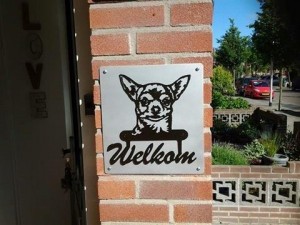 chihuahua + wekom