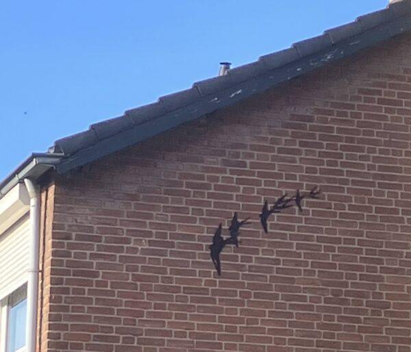 Vlucht zwaluwen - Image 3