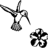 Hibiscusbloem - Image 2