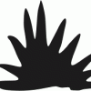 Graspol - Image 2